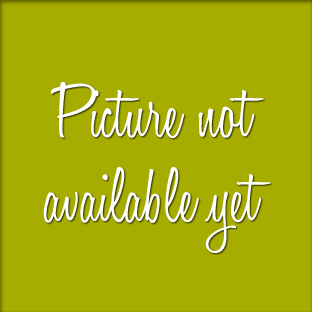 No picture available for this item
